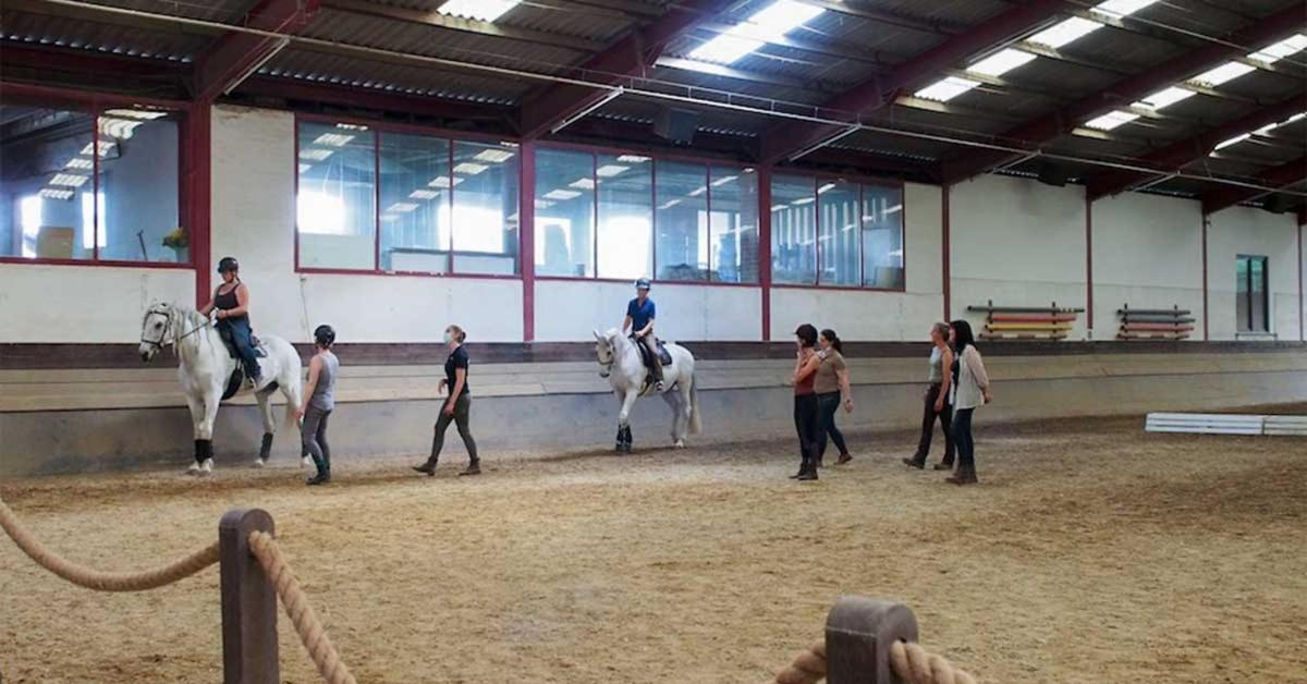 Campingplatz Equi-art Reitanlage *