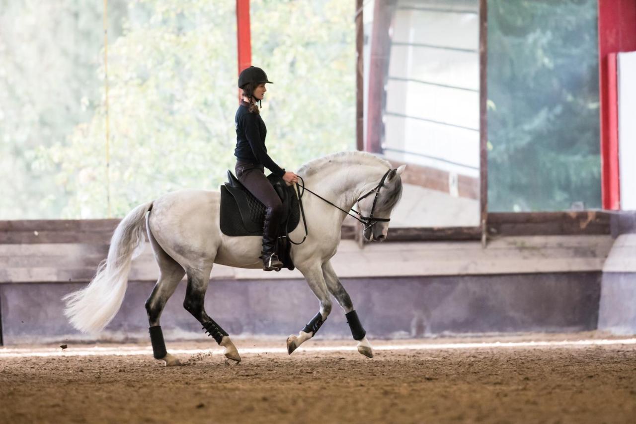 Campingplatz Equi-art Reitanlage Schwall